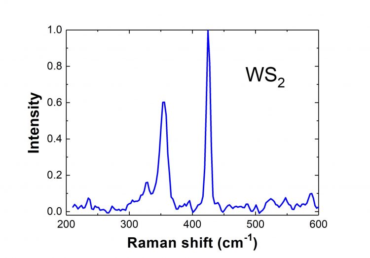 Detailed graph of WS2 raman response