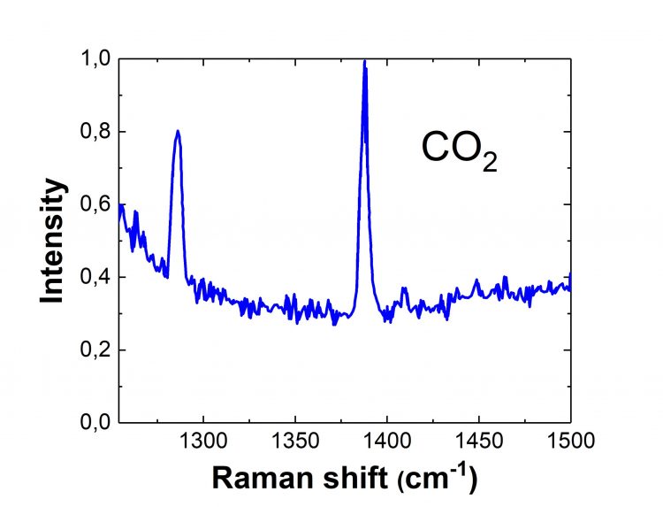 Detailed graph of CO2 raman response