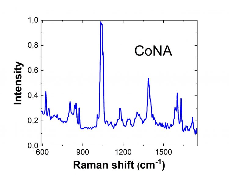 Detailed graph of Co Nicotinic Acid raman response