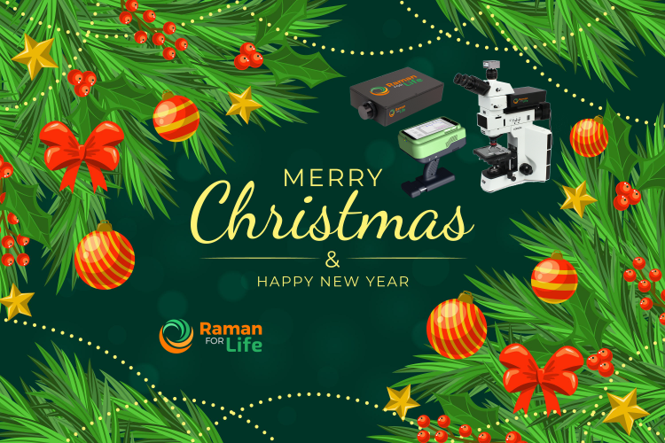 RamanLife Christmas Card 2022