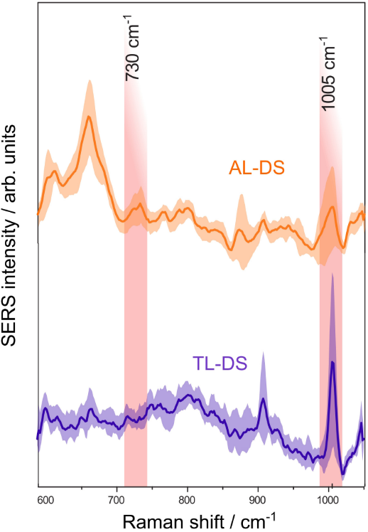 Average SERS spectra of DNA from patients with acute leukemia associated with Down syndrome (AL-DS) and transient leukemia associated with Down syndrome (TL-DS).