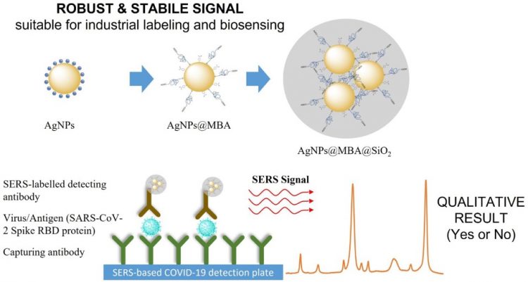 Scheme of the rational and controlled synthesis of robust and stabile SERS encoded plasmonic-silica nanocomposites for enhanced, fast, sensitive, and selective labeling and biosensing.